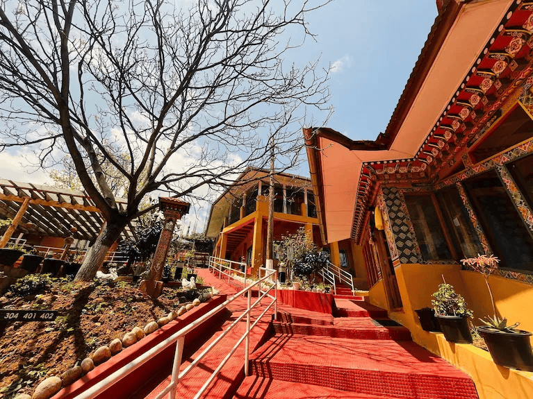 Sinchula Villa / Tushita Eco Lodge / Similar